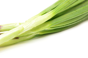 Image showing Fresh spring onions