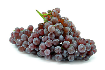 Image showing Gourmet champagne grapes