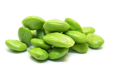 Image showing Parkia speciosa beans