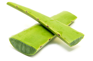 Image showing Aloe vera fresh leaf isolated