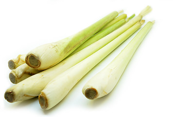 Image showing Bundle of lemon grass