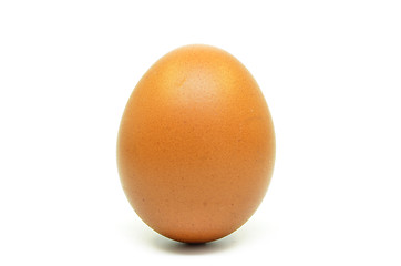 Image showing Single chicken egg