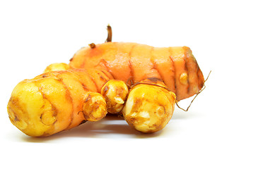 Image showing Turmeric rhizome on white background