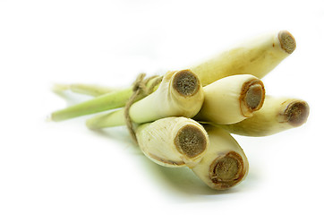 Image showing Bundle of lemon grass