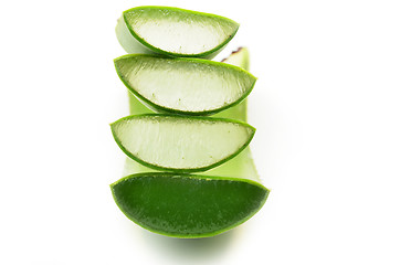 Image showing Aloe vera fresh leaf isolated