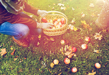 Image showing woman with basket picking apples at autumn garden