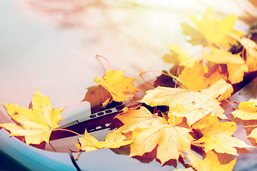 Image showing close up of car wiper with autumn leaves