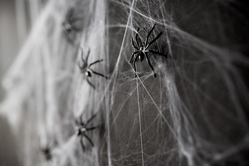 Image showing halloween decoration of black toy spiders on web