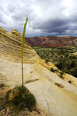 Image showing Looking down the Sandstones in to Snow Canyon - Utah