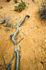 Image showing Path to Sand Dunes in Snow Canyon - Utah