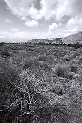 Image showing Snow Canyon - Utah