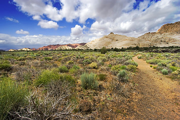 Image showing Path to the Redrock Mountains in Snow Canyon - Utah
