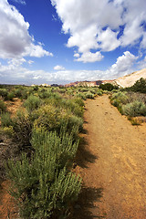 Image showing Path to the Redrock Mountains in Snow Canyon - Utah