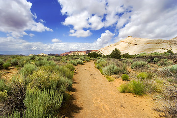 Image showing Path to the Redrock Mountains in Snow Canyon - Utah