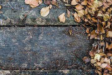 Image showing Background with old wooden table and yellow autumnal leaves