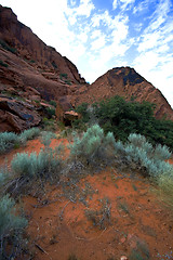 Image showing Snow Canyon - Utah