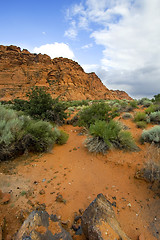 Image showing Snow Canyon - Utah