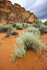 Image showing Snow Canyon - Utah