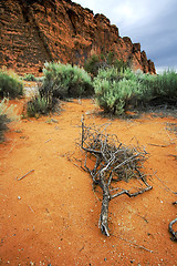 Image showing Snow Canyon - Utah