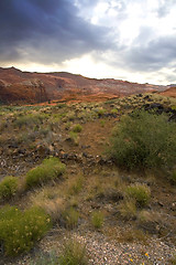 Image showing Snow Canyon - Utah