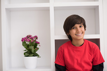 Image showing young boy posing on a shelf