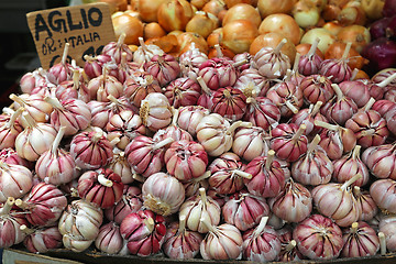 Image showing Garlic