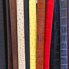 Image showing Belts