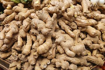 Image showing Ginger