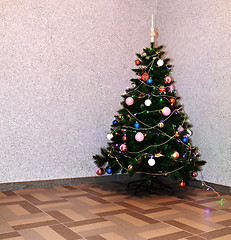 Image showing New Year tree in empty room