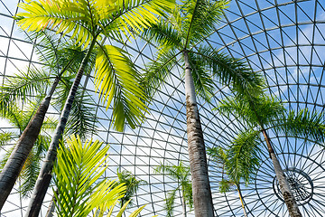 Image showing Greenhouse garden