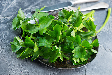 Image showing fresh celery