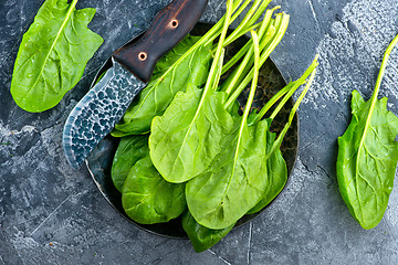 Image showing fresh spinach