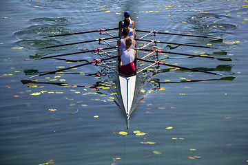 Image showing Males fours rowing team in race on the lake