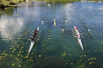 Image showing Young people training rowing on the lake Jarun in Zagreb