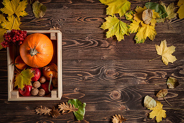 Image showing Autumn fruits and vegetables