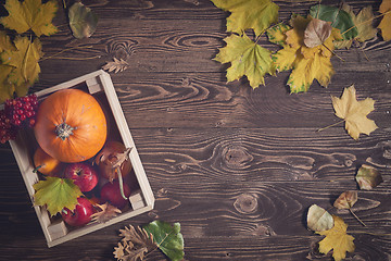 Image showing Autumn fruits and vegetables