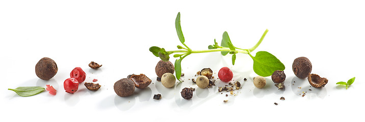 Image showing various herbs and spices