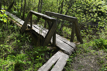 Image showing small wooden bridge in the forest