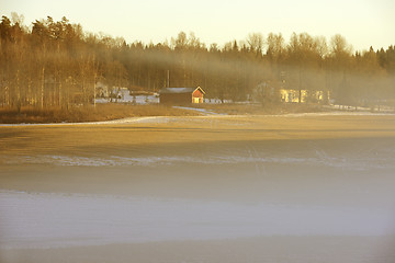 Image showing dense fog over a field in winter