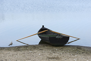 Image showing wooden boat on the shore and a seagull