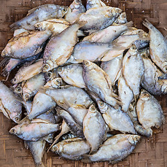 Image showing Mackerel fishes in round bamboo basket for sale in local market.