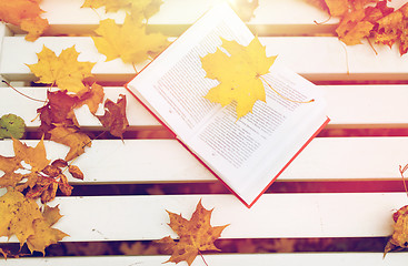 Image showing open book on bench in autumn park