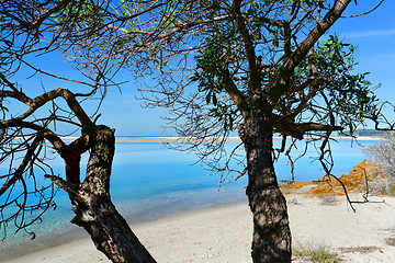 Image showing Pristine waters of Mallacoota Victoria Australia