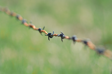 Image showing barbed wire