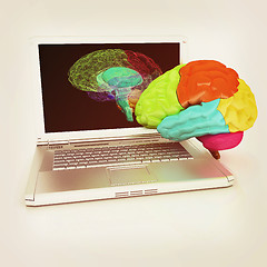 Image showing creative three-dimensional model of real human brain and scan on