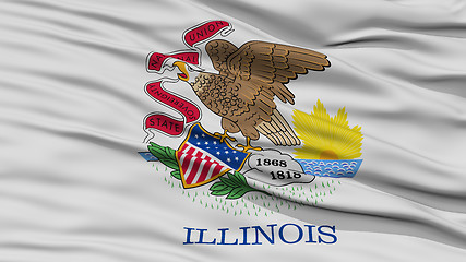 Image showing Closeup Illinois Flag, USA state