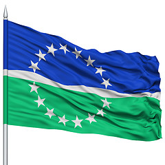 Image showing Hampton Roads City Flag on Flagpole, USA