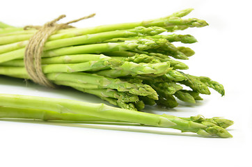 Image showing Bundle of green asparagus shoots