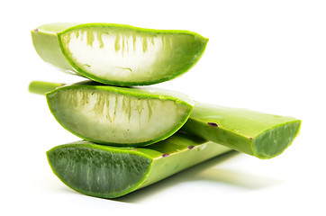 Image showing Aloe vera fresh leaf isolated