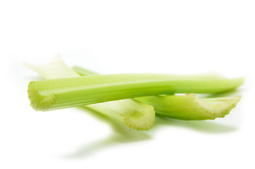 Image showing Fresh green celery